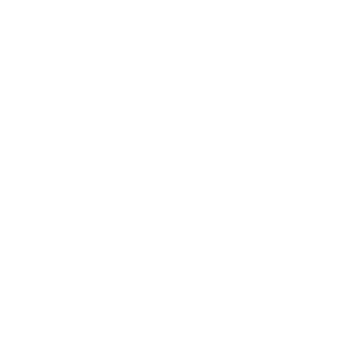 Insights Lighthouse