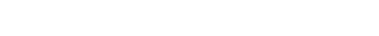 Brightwolves logo